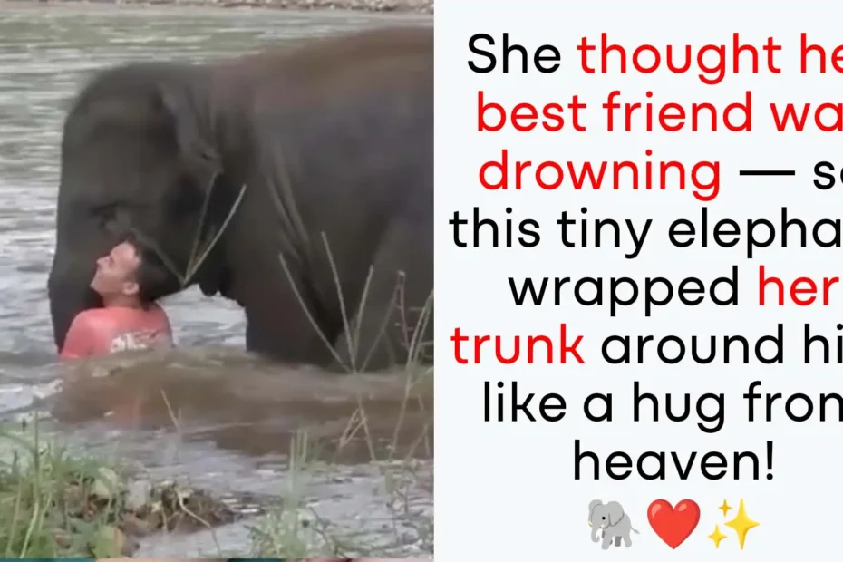 elephant saves handler from drowning