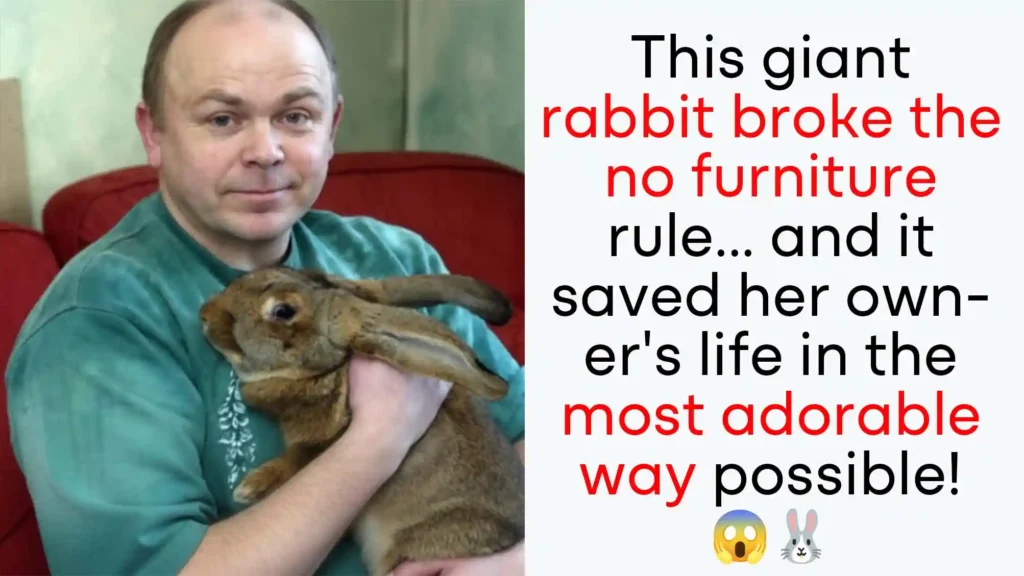 rabbit-saves-diabetic-owner-dory-hero-story