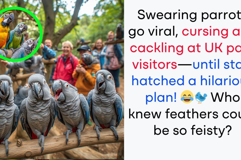 Swearing parrots viral