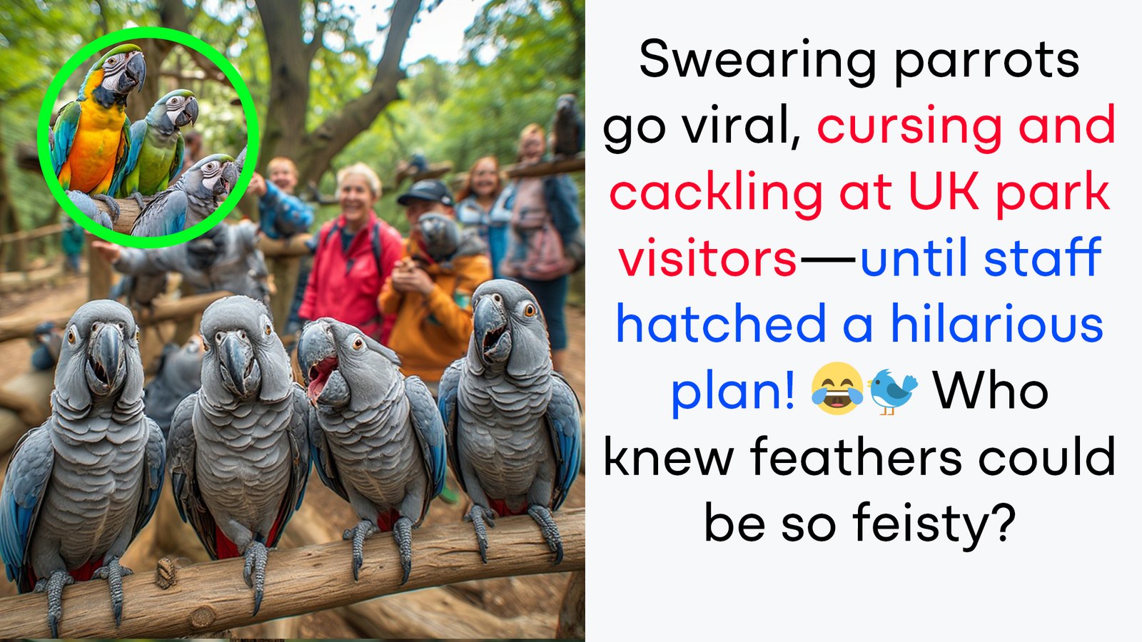 Swearing Parrots Go Viral: The Cheeky Birds That Shocked a UK Park and Stole Hearts Worldwide